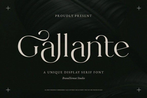 Gallante A Refined Serif Font for Makers
