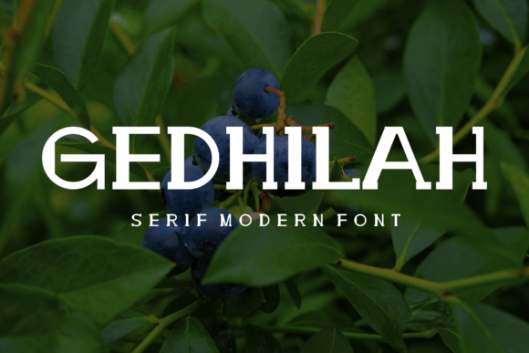 Gedhilah: A Serif with Purpose and Poise